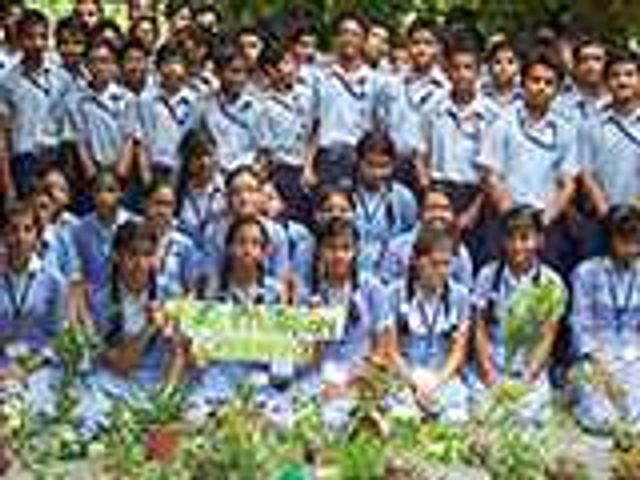 New Creation Public school tree plantationa