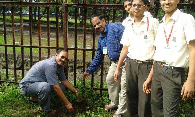 I E S Navi Mumbai High School, Vashi - Environment Day Celebrations