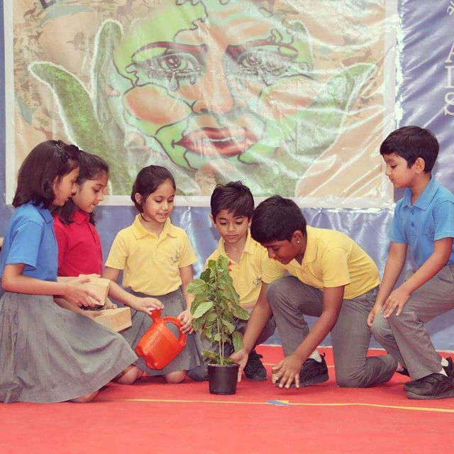 Ahmedabad International School - Judge Bunglow Road - Green Day Celebration 