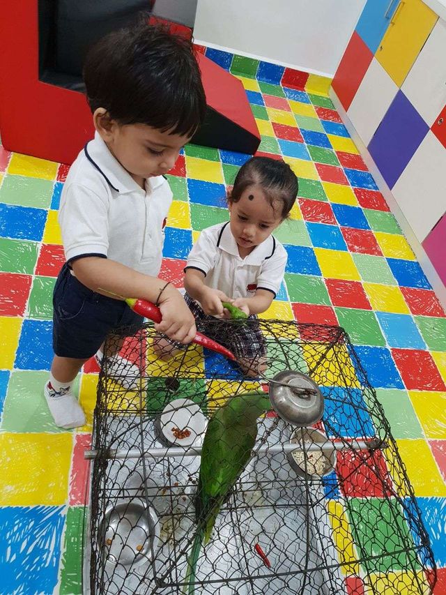 Kangaroo Kids - Kankurgachi, Kolkata - School Activities