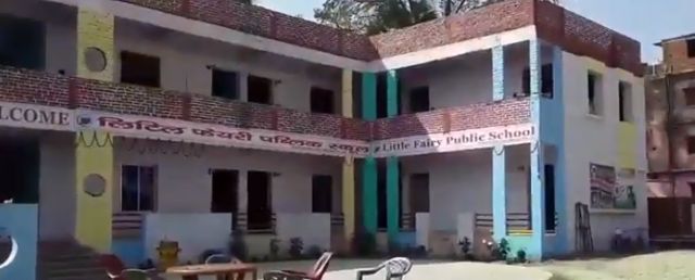 Little Fairy Public School Overview of the Schoolb