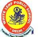 White Leaf Public School, Bawana Delhi                                            Profile Image