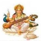Saraswati Bal Mandir, Paschim Vihar Profile Image