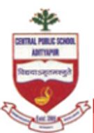 Central Public School, Jamshedpur Profile Image