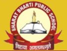 Bharat Bharti Public School - New Delhi Profile Image